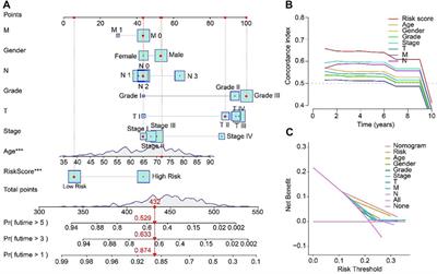 Construction of anoikis-related lncRNAs risk model: Predicts prognosis and immunotherapy response for gastric adenocarcinoma patients